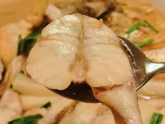 -老吉堂上海本帮菜(望京万象汇店)