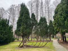 -上海滨江森林公园