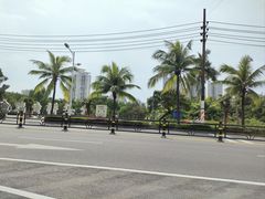 -金鸡岭桥头公园