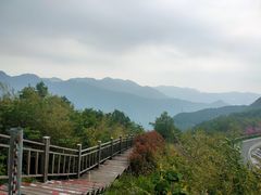 -江南天池