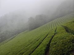 -敬亭山风景名胜区