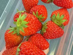 -果唯伊(共和新路店)