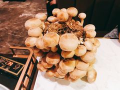 活体松香菇-捞神汤物料理(正大广场店)