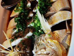 葱油蒸黄鱼-名佳荟