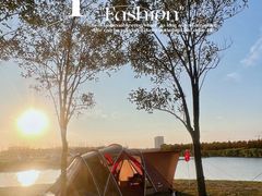 -春花秋色城市公园