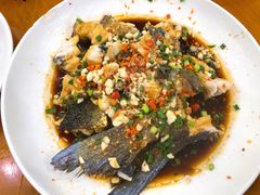 -全乐鱼馆·淳牌有机鱼直营店
