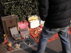 -本溪路花鸟市场(江浦路1709弄小区店)