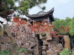 -扬州狮子楼·非遗淮扬菜(东关街店)