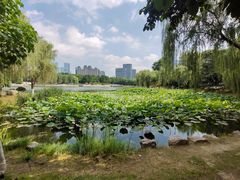 -后襄河公园