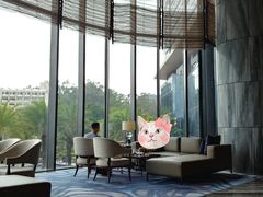 -希尔顿南海酒店·观廊大堂吧·海景下午茶