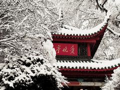 -岳麓山风景名胜区