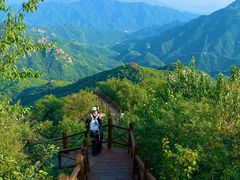 -大岭沟猕猴桃谷风景区