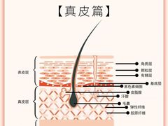 -中国农业大学(西校区)