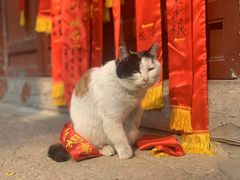 -潭柘寺景区