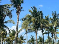 -三亚太阳湾柏悦酒店