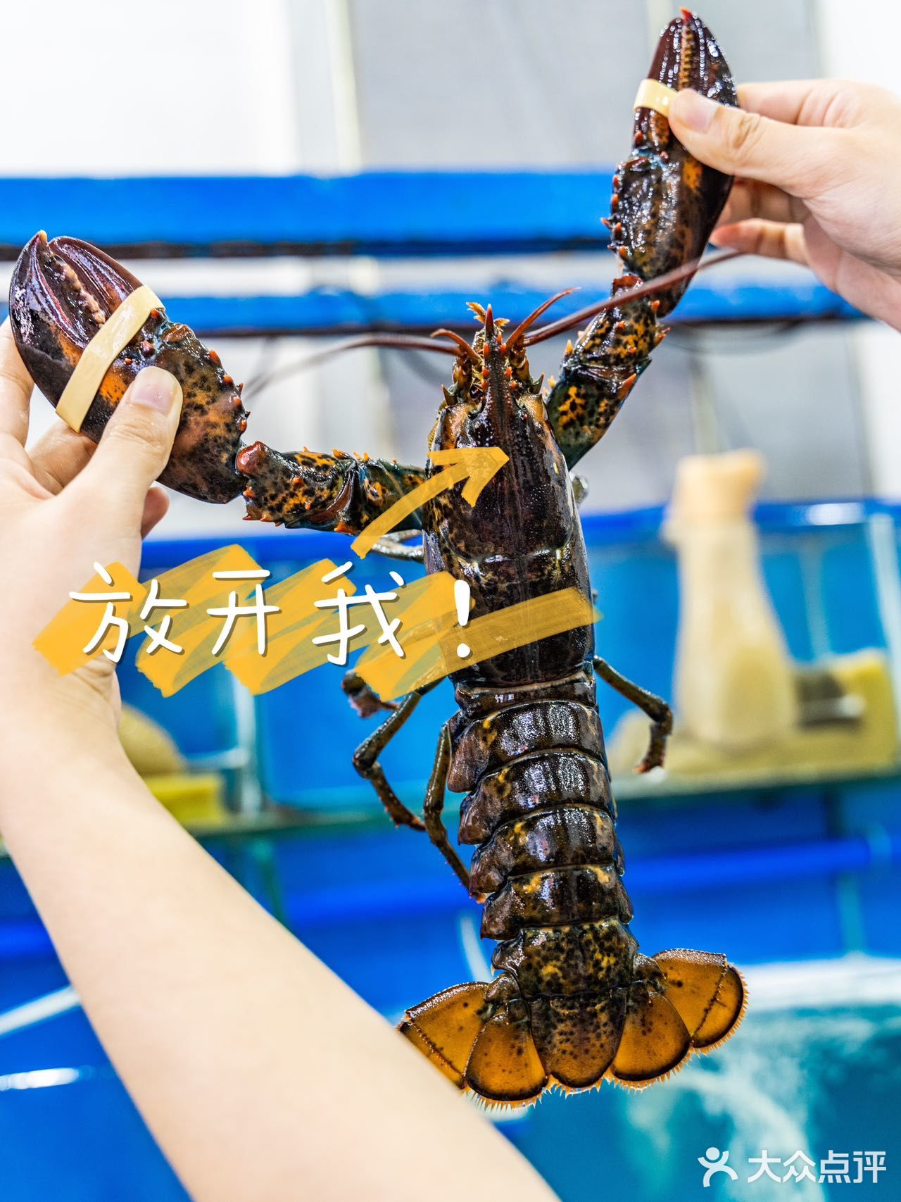来三亚一定要吃的海鲜店，安利打卡