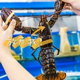 来三亚一定要吃的海鲜店，安利打卡