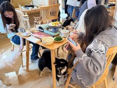 -柴の食堂·日式家庭料理·熊之肆(大学路店)