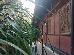-峨眉山报国寺