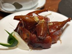 -觅唐MITONG(鸟巢店)