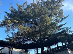 -木渎古镇