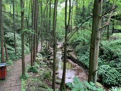 -青城山