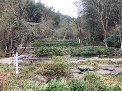 -常德桃花源景区