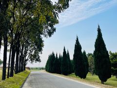 -秦始皇帝陵博物院(兵马俑)