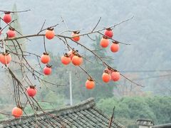 -丹山赤水风景名胜区