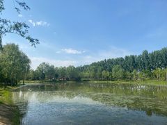 -东郊湿地公园