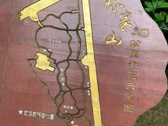 -陈家山荷花公园
