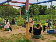 -中国扬子鳄村