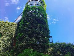 -三鹰之森吉卜力美术馆