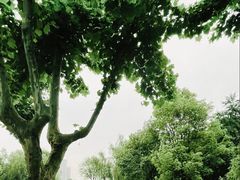 -后襄河公园