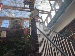 -丽江庭院·云南野生菌·海鲜火锅(鼓楼四合院店)