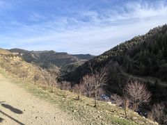 -芦芽山旅游度假区