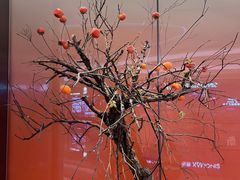 -狮拾久·现代新加坡料理(壹方城店)