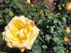 -国家植物园南园