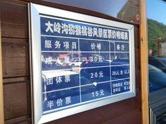 -大岭沟猕猴桃谷风景区