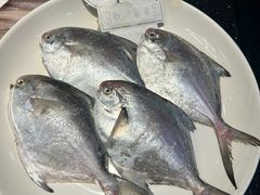 -健跳小海鲜(人民路店)