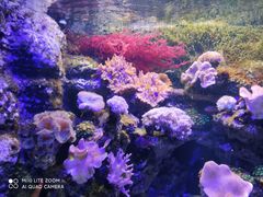 -郑州海洋馆