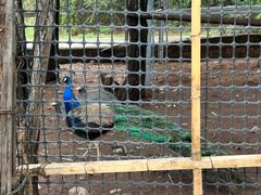 -猎鹰谷实弹射击俱乐部