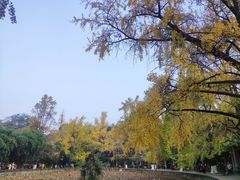 -四川大学(华西校区)