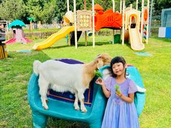 -廊坊固安福朋喜来登酒店