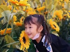 -蘭亭·新都汇