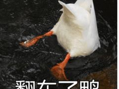 -酒井酱子·深夜食堂(东城汇店)