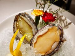 六头鲍鱼-红雀围·海鲜火锅(陆家嘴中心店)