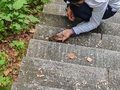 -汤旺河林海奇石景区