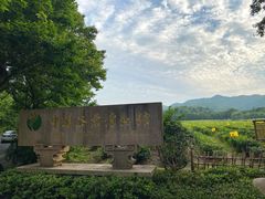 -中国茶叶博物馆(双峰馆区)