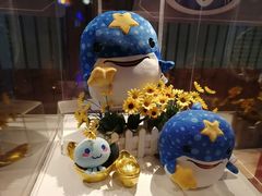-海合安青岛极地海洋公园